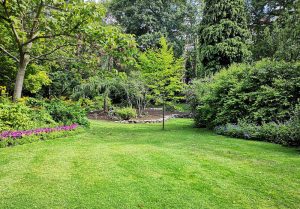 Optimiser l'expérience du jardin à Savigne-sous-le-Lude